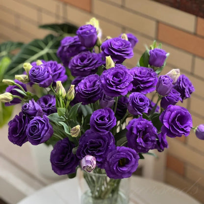 🔥Hot Sale 50% OFF🌱Eustoma Thornless Rose💐Lisanthus Seeds