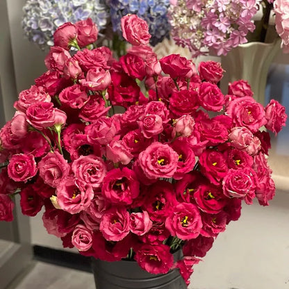 🔥Hot Sale 50% OFF🌱Eustoma Thornless Rose💐Lisanthus Seeds
