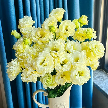 🔥Hot Sale 50% OFF🌱Eustoma Thornless Rose💐Lisanthus Seeds