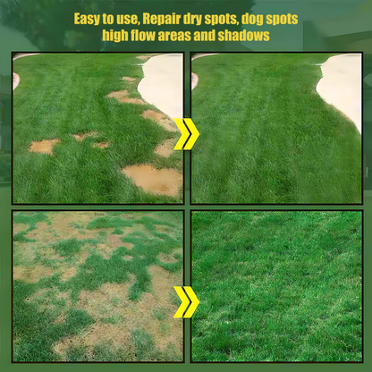 Turn Patchy, Dead Grass Into a Thick Green Lawn in Weeks