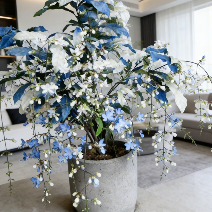 🔥50% Off Only Today🌸 Weeping Jasmine Seeds🌸