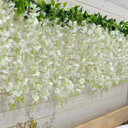 🌸Wisteria Seeds - The Garden’s Cascading Beauty All Year Round💗