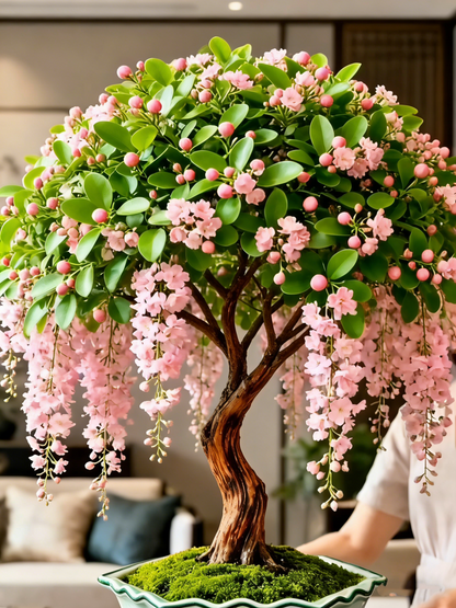🌸【7 days germination】Last Day Up to 50% OFF💐Rare Weeping Jasmine Flowers Bulbs