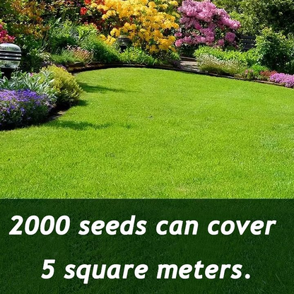 Turn Patchy, Dead Grass Into a Thick Green Lawn in Weeks