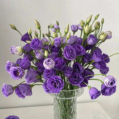 🔥Hot Sale 50% OFF🌱Eustoma Thornless Rose💐Lisanthus Seeds