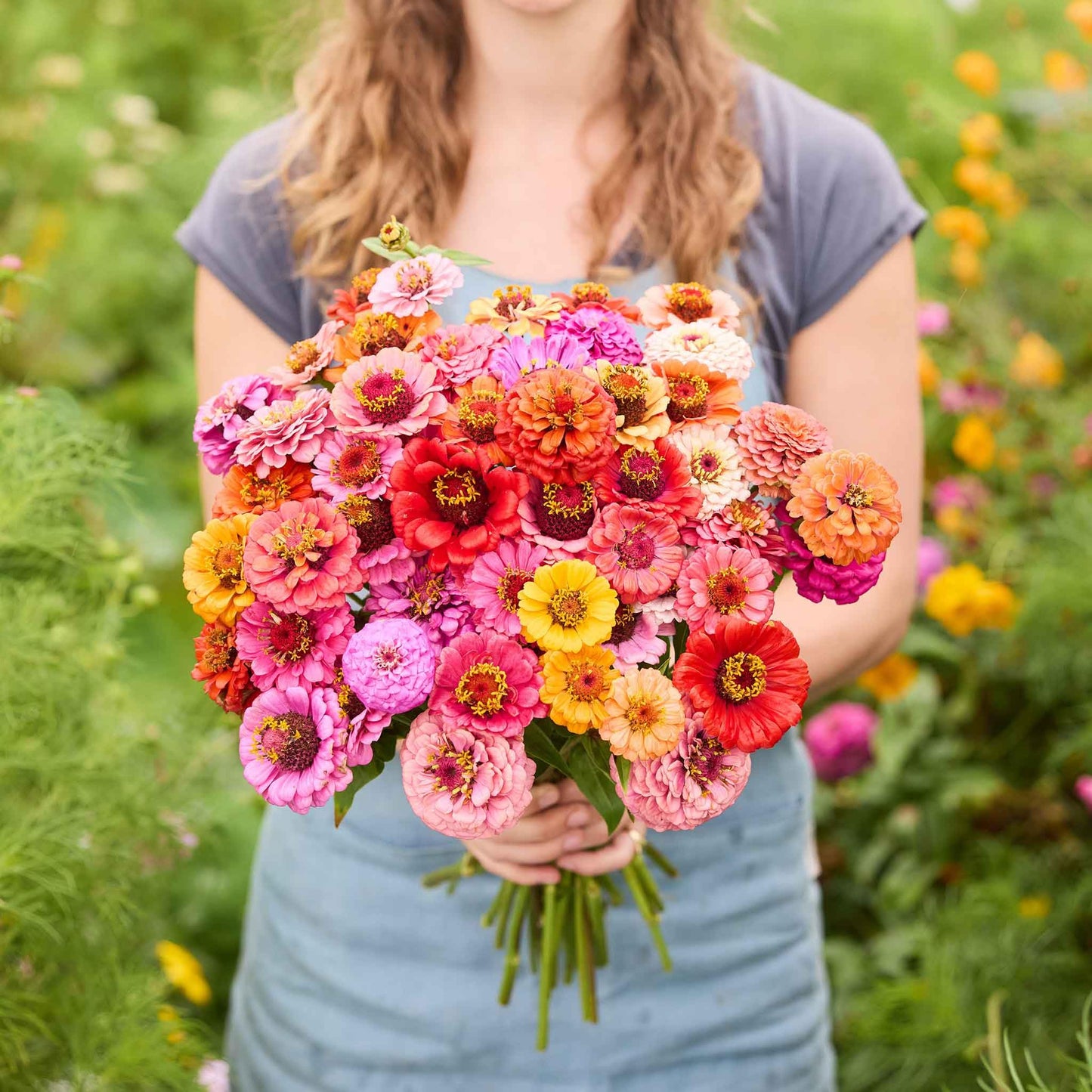 Double Zinnia Seeds Mix
