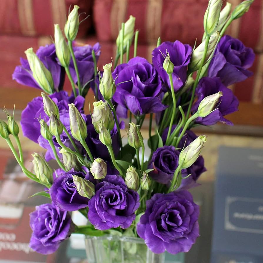 🌼 Perfect Time to Plant 😍 Mixed Lisianthus Seeds with Rose-like Elegance