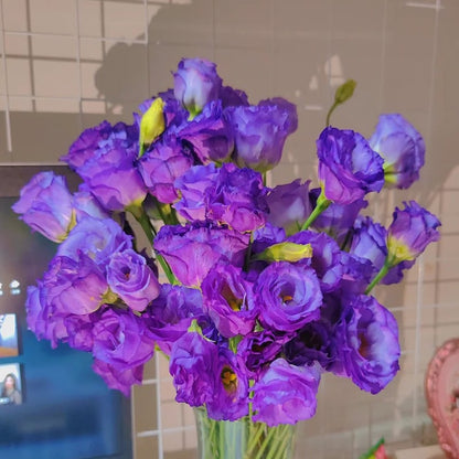 🔥Hot Sale 50% OFF🌱Eustoma Thornless Rose💐Lisanthus Seeds