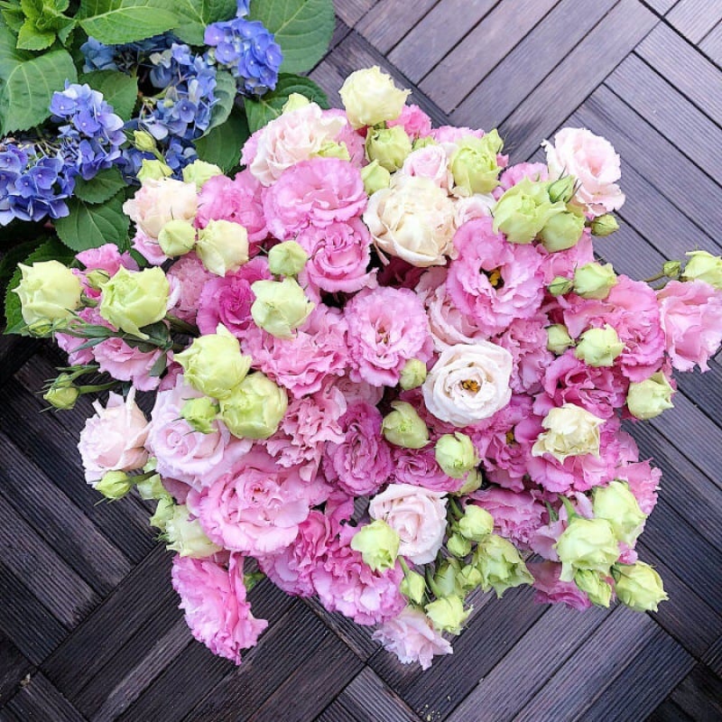🔥Hot Sale 50% OFF🌱Eustoma Thornless Rose💐Lisanthus Seeds
