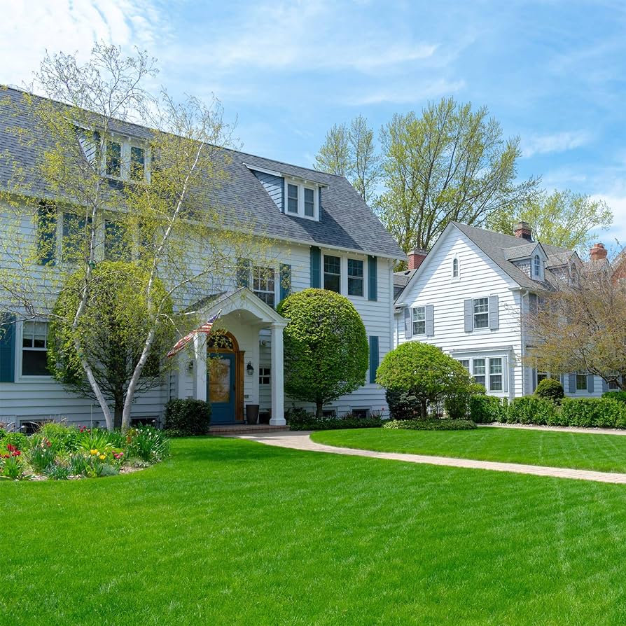 🏡EverGreen Perennial Ryegrass Seeds – Rapid Growth for Stunning Lawns