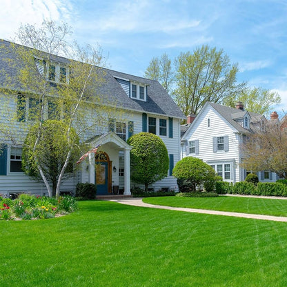 🏡EverGreen Perennial Ryegrass Seeds – Rapid Growth for Stunning Lawns