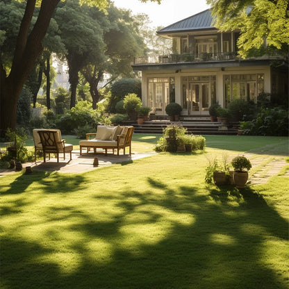 Turn Patchy, Dead Grass Into a Thick Green Lawn in Weeks