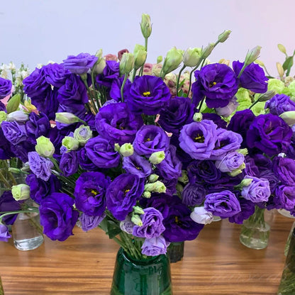 🔥Hot Sale 50% OFF🌱Eustoma Thornless Rose💐Lisanthus Seeds
