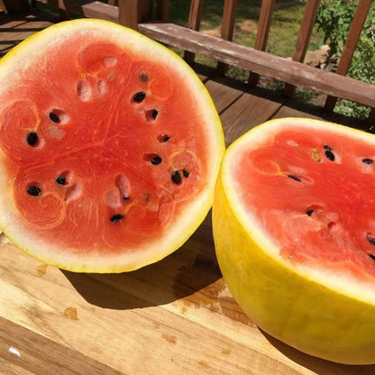 Golden Midget Watermelon Seeds