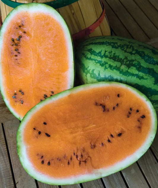 Orange Tendersweet Watermelon Seeds