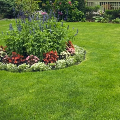 Turn Patchy, Dead Grass Into a Thick Green Lawn in Weeks