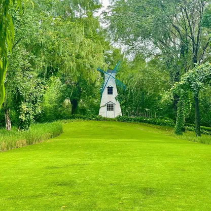 Turn Patchy, Dead Grass Into a Thick Green Lawn in Weeks