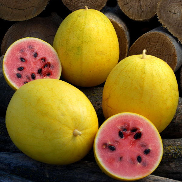 Golden Midget Watermelon Seeds