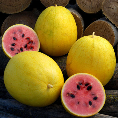 Golden Midget Watermelon Seeds